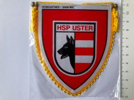 Vintage Fanion/Wimpel   HSP USTER