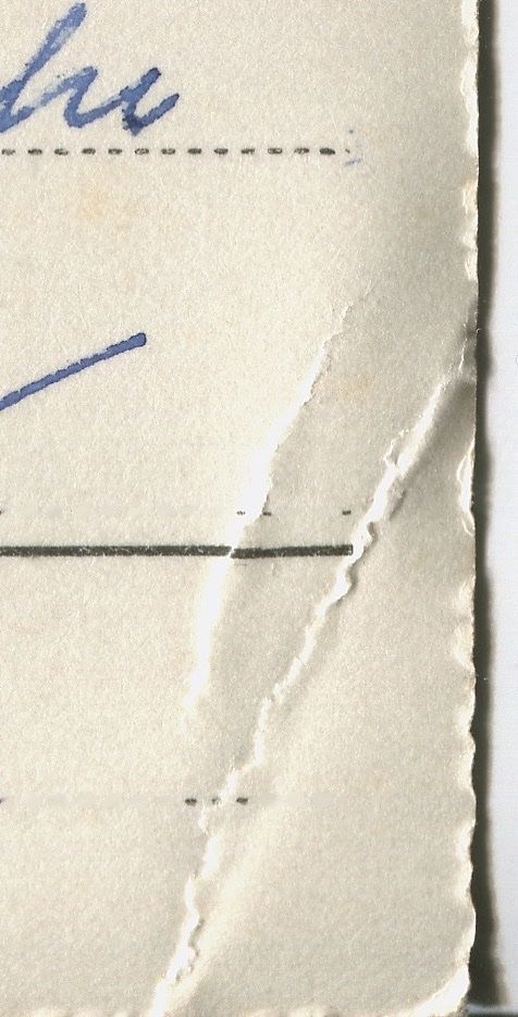 Ansichtskarten: Giubiasco Panorama 1953 – Gebraucht aus coglio von Tascia1 2