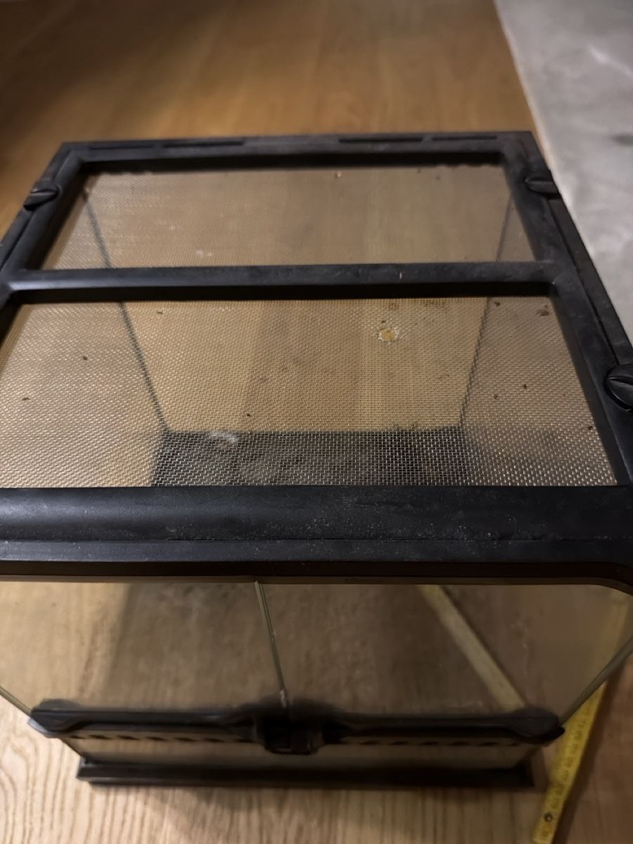 Terrario: Exo Terra Terrarium – Usato da Horgen venduto da bok_6ttc 3