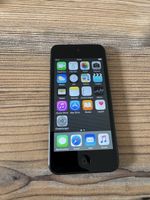 iPod Touch 5th gen