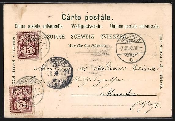 Cartoline postali: Litho Einsiedeln, Ortsansicht gegen die  – Usato da Berlin venduto da bartko-reher 1