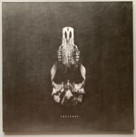 CHEYENNE - CHEYENNE