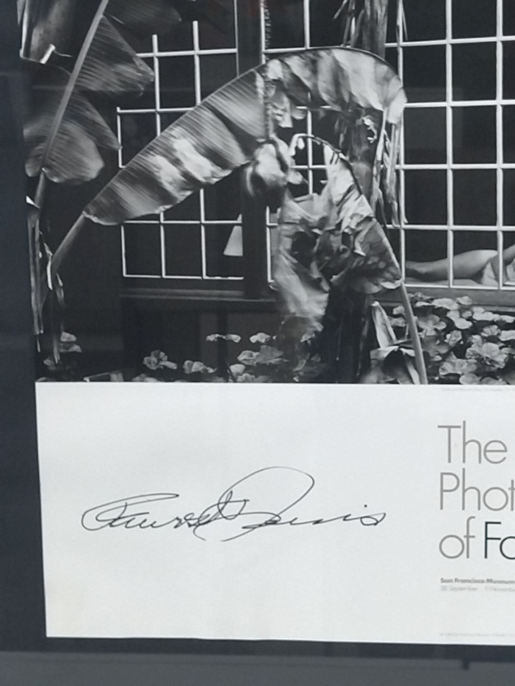 Foto & Immagini: Faurest Davis Originalfoto – Usato da Zürich venduto da Top-Deal-Schweiz 1