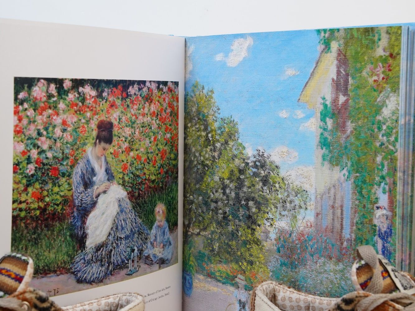 Libri: Bildband Monet – Nuovo (secondo la descrizione) da Wil SG venduto da froschbiss 1