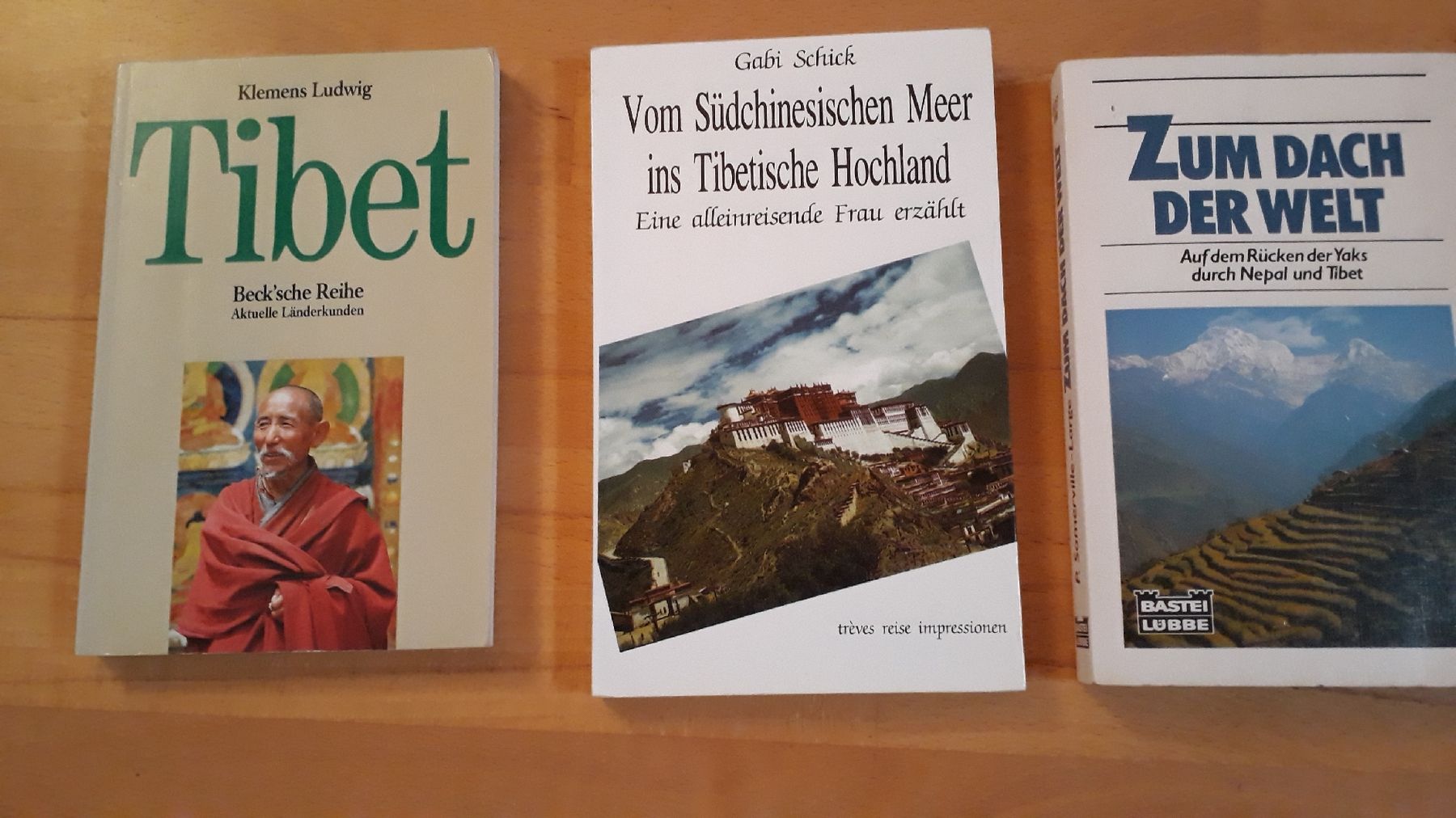 Libri: Literatur zu Tibet – Usato da Zürich venduto da wildflower26
