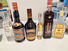 13 Spirituosenflaschen, Alkoholflaschen