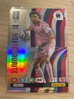 Panini FIFA World Cup 2026 Fan Favourite Vozinha 94
