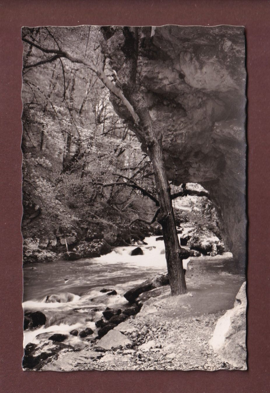 Cartes postales: Dans les GORGES DE L'AREUSE – D'occasion à Pully par nicecards-shop