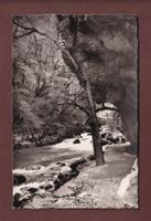 Dans les GORGES DE L'AREUSE