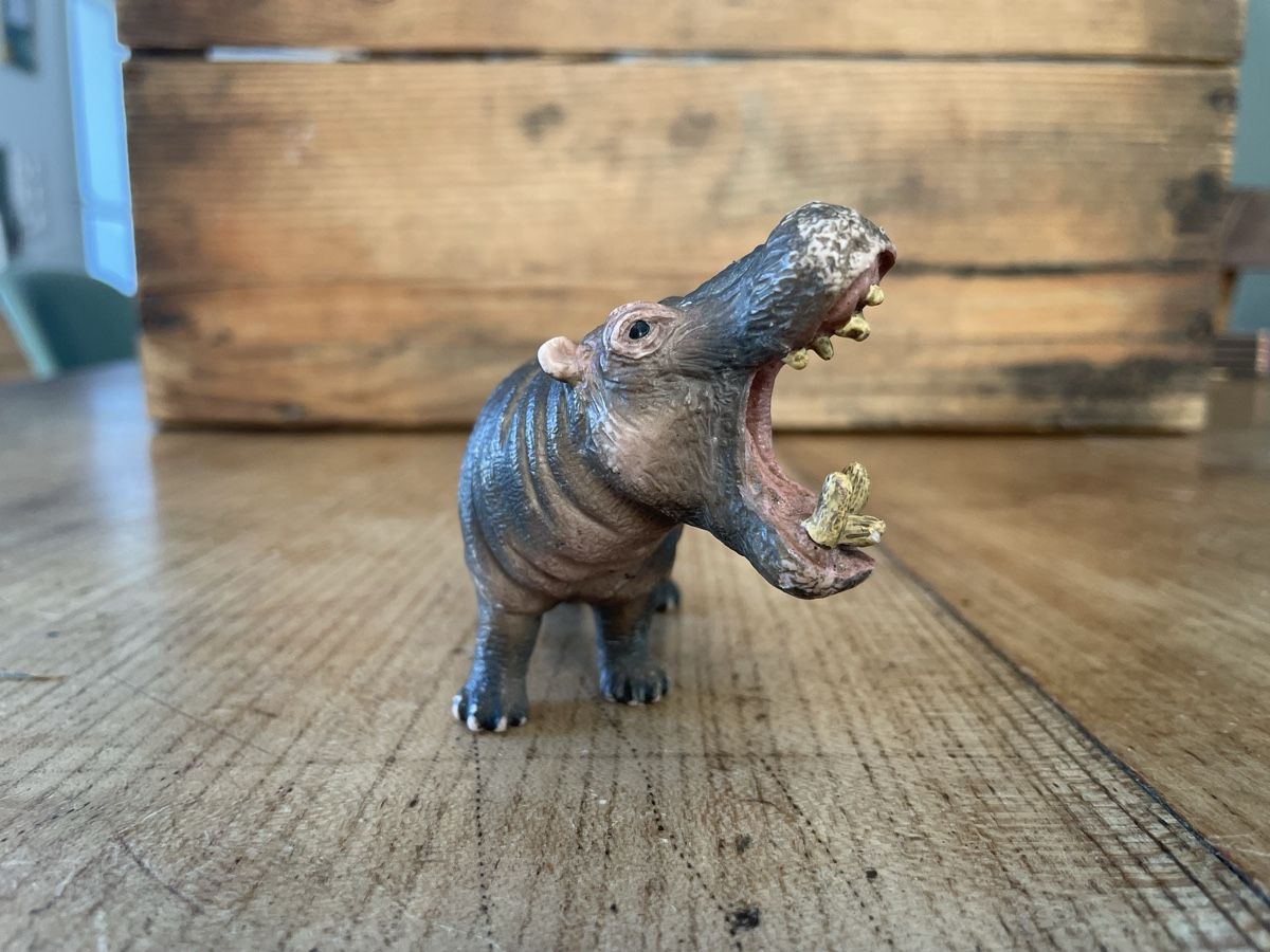Schleich Jouets: Schleich Nilpferd – D'occasion à Bonstetten par soleillle 2