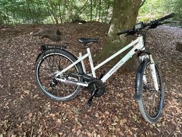 Saxonette X Road 1