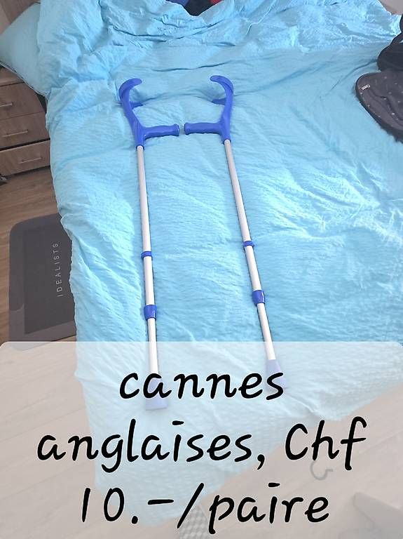 Ausili per la deambulazione: Cannes anglaises  – Usato da Le Sentier venduto da dtr_9hyj