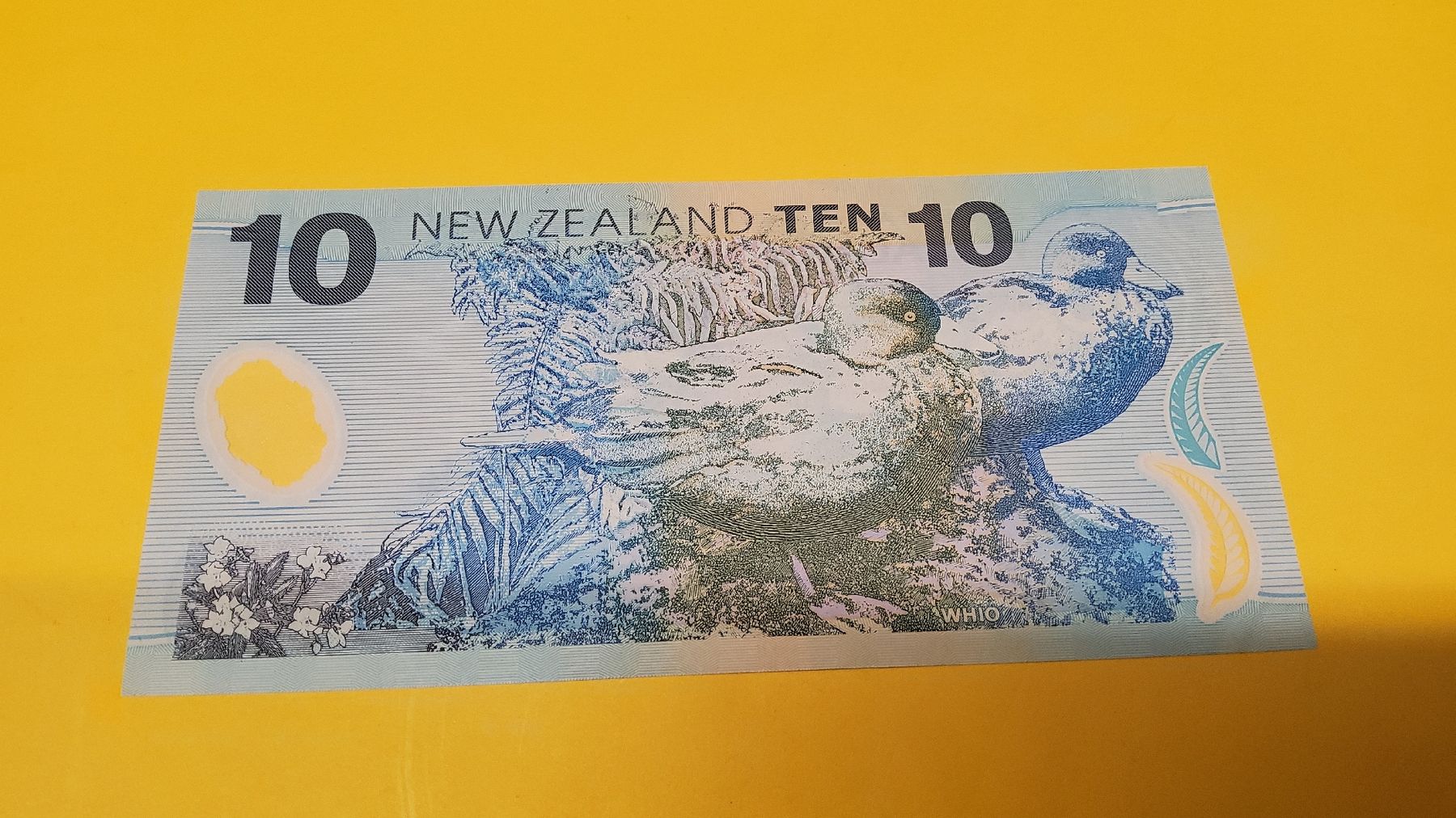 Banconote: Originale 10 NZD Note, Banknote, unzirkuliert, Top – Nuovo e nell'imballaggio originale da Herisau venduto da Nluanalucas 1