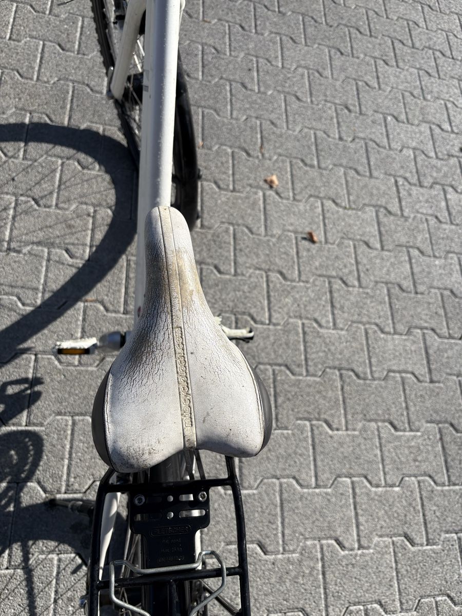 MTB Cycletech Biciclette: MTB Cycletech 26 Zoll – Usato da Rothenburg venduto da Zibur 2
