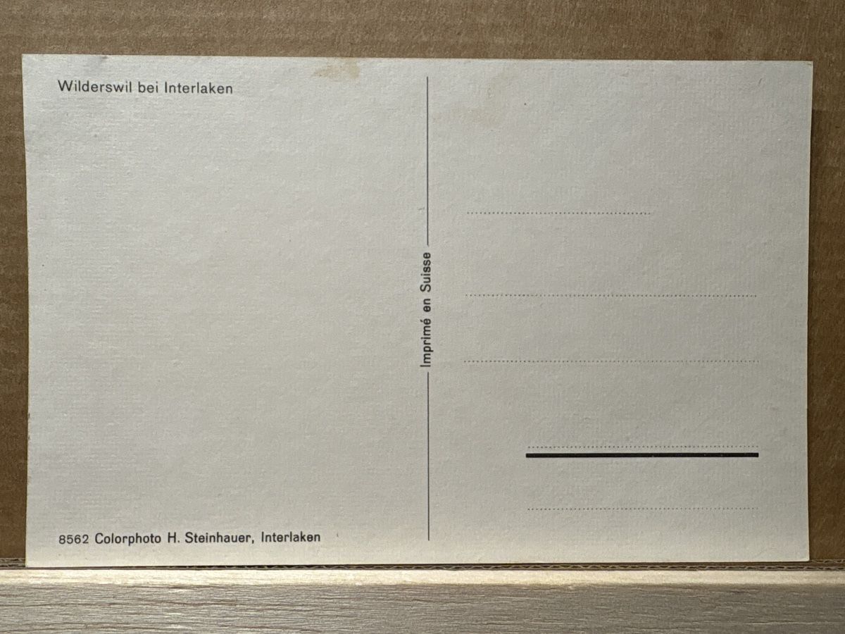 Cartoline postali: AK von Wilderswil bei Interlanken – Usato da Rümlang venduto da Kartenpost1 1