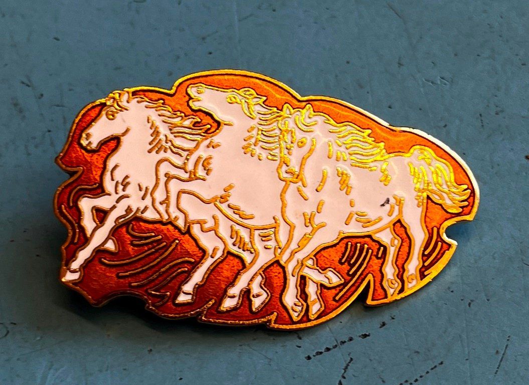 Placchette & Badge: Pin Simone Erni - Pferde – Usato da Obernau venduto da Wgnom