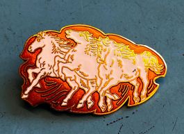 Pin Simone Erni - Pferde