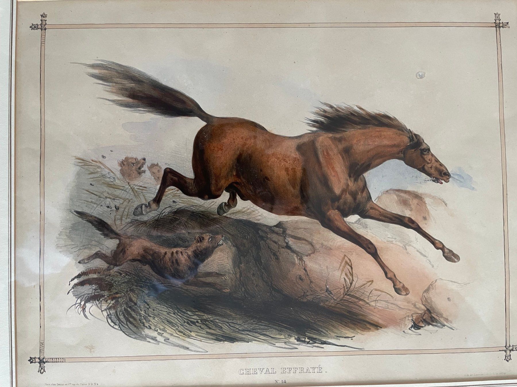 Incisioni: Cheval effrayé - Druckgrafik, Stich, Lithografie – Usato da Bern venduto da curtius01 1
