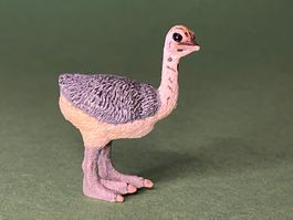Schleich 14398 Straussenjunges Strauss