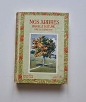 1920 - Nos arbres dans la nature