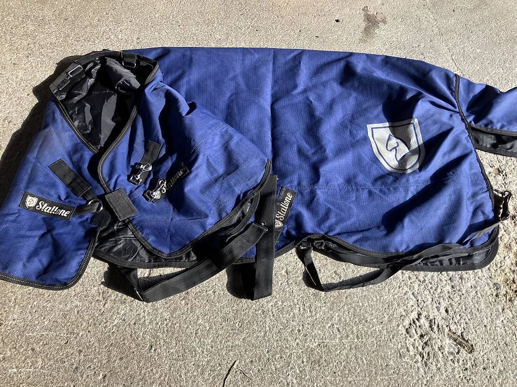 Coperte: Stallone Übergangsdecke 145cm 100g – Usato da Kriessern venduto da Gavin0201