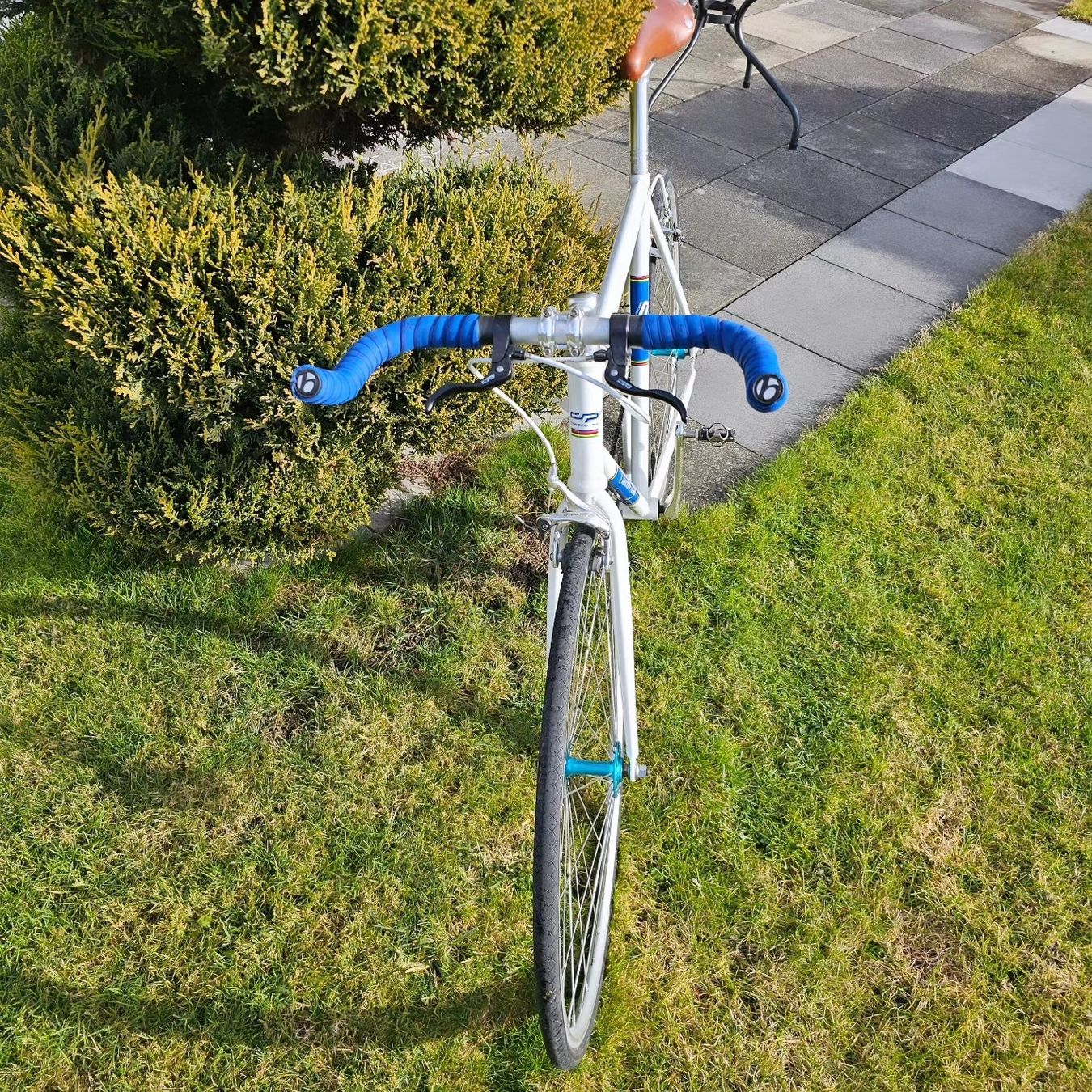 Vélos: Fixie Velo – D'occasion à Romanshorn par TigerKerstin 2