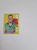 Panini Sticker ECU3
