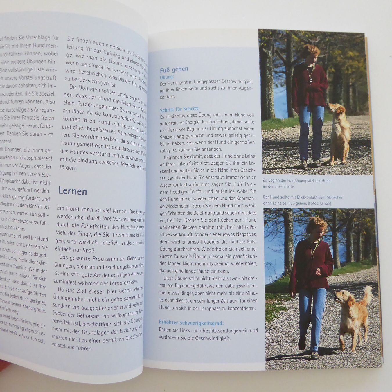 Libri: Mentales Training für Hunde – Usato da Basel venduto da Kunterbunt12 5