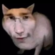 Profile image of kittenmastermewing