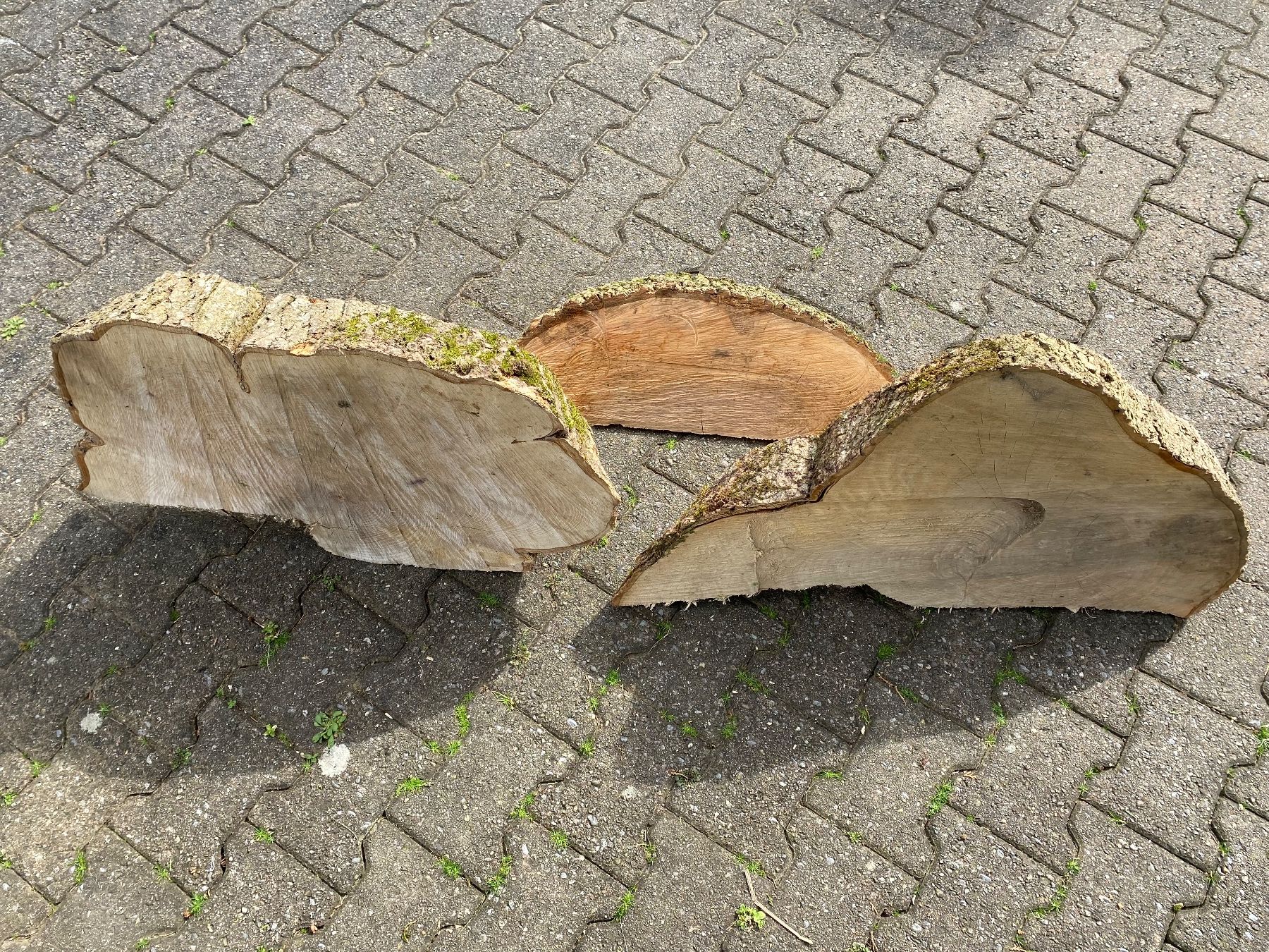 Articoli in legno: 3 schöne Esche-Baumscheiben – Usato da Feldbach venduto da Olive1 6