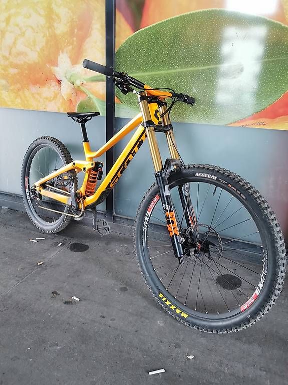 Biciclette: Scott Gambler 900 Tuned DH L – Usato da Zürich venduto da Phil1905