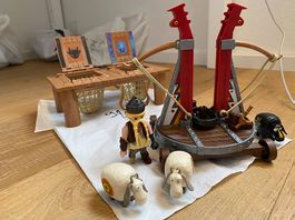 Playmobil Drachenzähmen