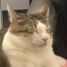 Profile image of Aosika
