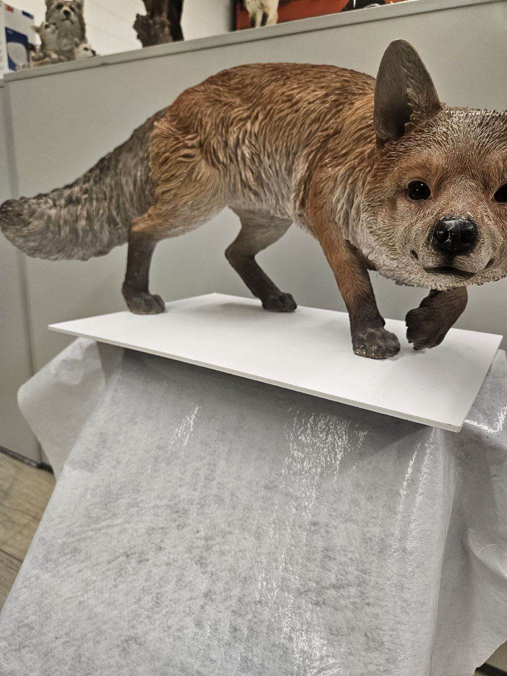 Statuette: Fuchs 60 x 32 cm gross – Nuovo (secondo la descrizione) da Dielsdorf venduto da Kenan997 3