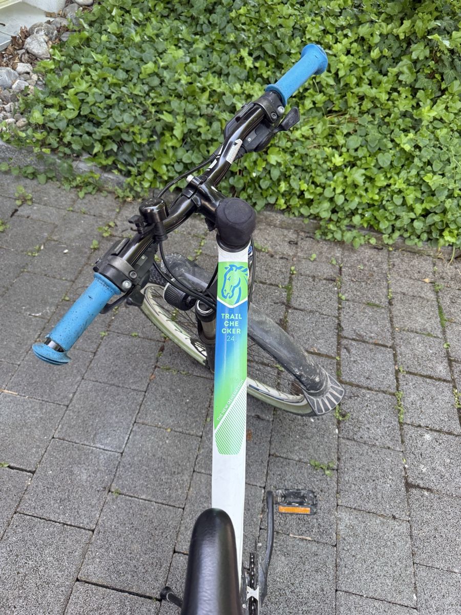Biciclette: Mountainbike  – Usato da Kaufdorf venduto da nadine_bufe 2