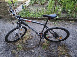 Herren Velo 