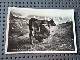 Carte postale ancienne Alpage de Chermotane Bagnes Valais