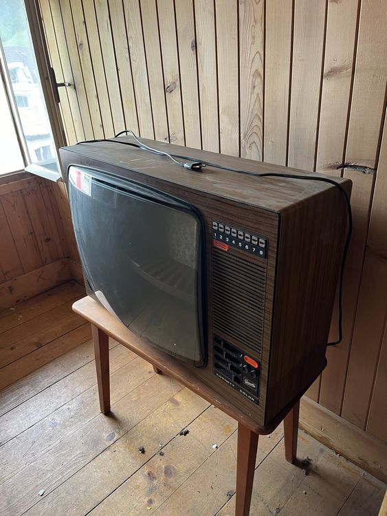 Alter Röhren Fernseher (antik) Kaufen auf Ricardo
