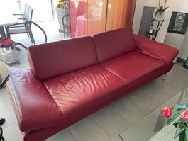 Ledersofa Echtleder rot