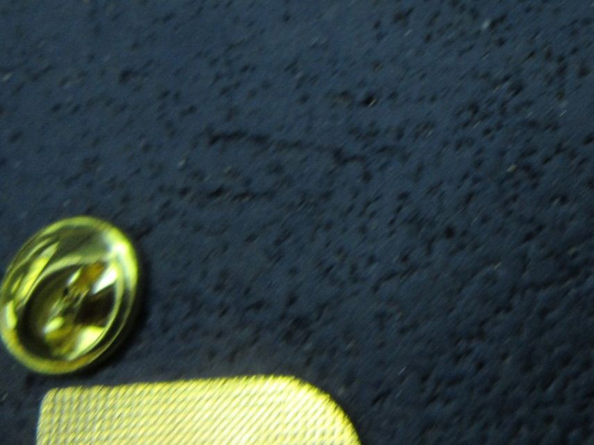 Swiss Placchette & Badge: ÄLPLER-BRUDERSCHAFT LUNGERN 250JAHRE PIN – Usato da Ettingen venduto da Hausi4711 2