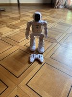 Ferngesteuerter Roboter mit Controller