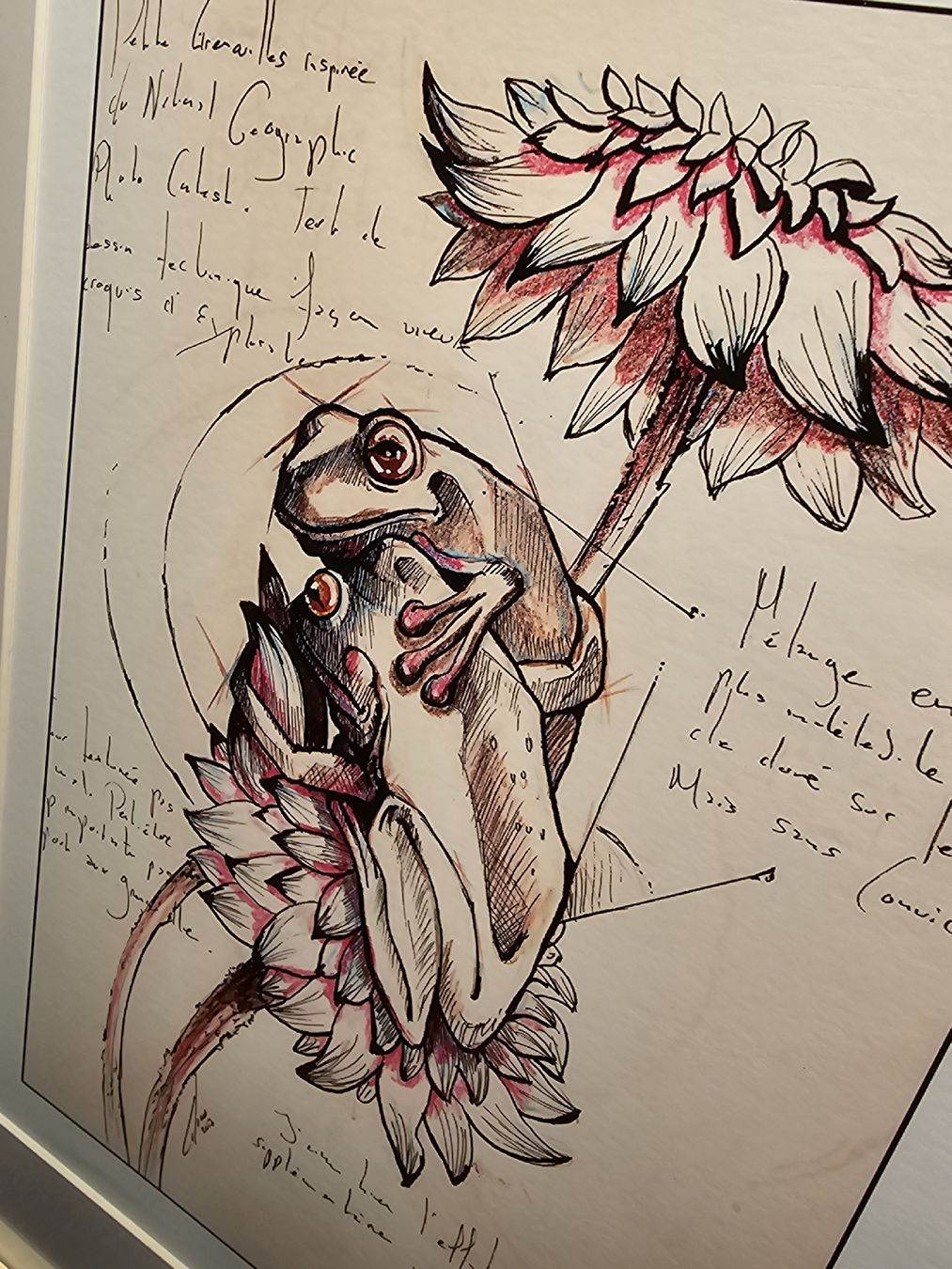 Gemälde: Reproduction Dessin grenouilles, fleur, encadré – Neu und originalverpackt aus Champagne von LoomiStudio 1