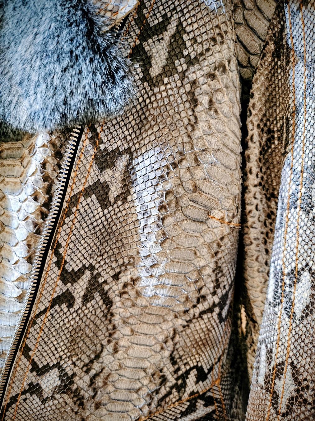 Jacken: Veste femme, cuir python et furure chinchila. M – Neu (gemäss Beschreibung) aus Rotkreuz von SiSi-13 8