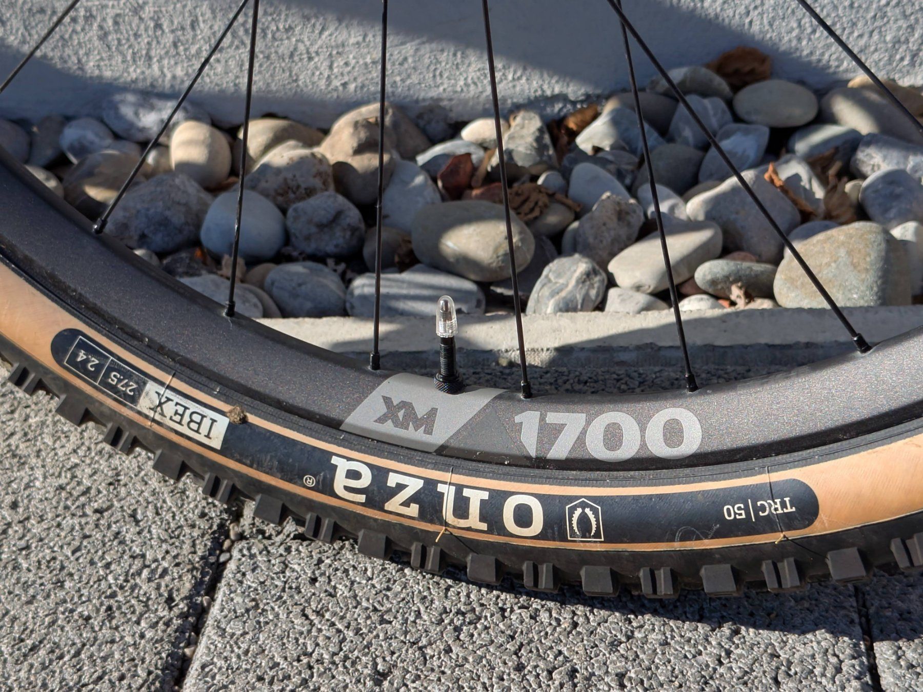 Velos: Enduro Hardtail – Gebraucht aus Galgenen von MisterTH 3