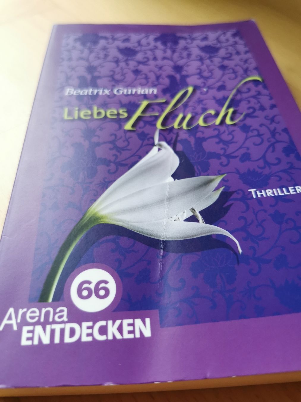 Bücher: Zwei Jugend (Mistery)Thriller – Gebraucht aus Birmensdorf ZH von fab_cfc5 3