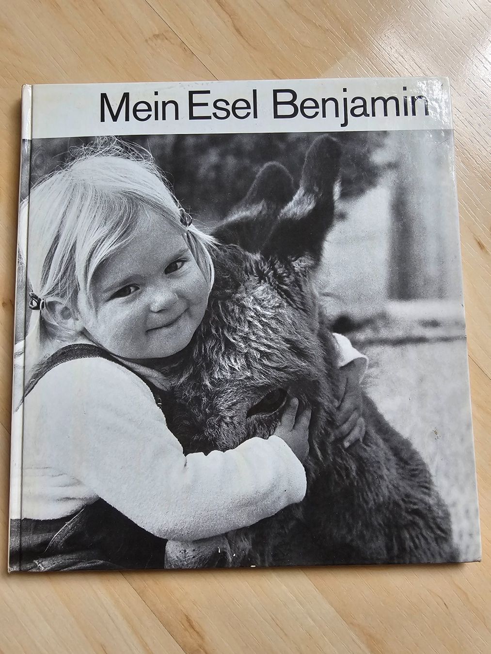 Bücher: Mein Esel Benjamin Kinderbuch – Gebraucht aus Balterswil von Dikdik1992