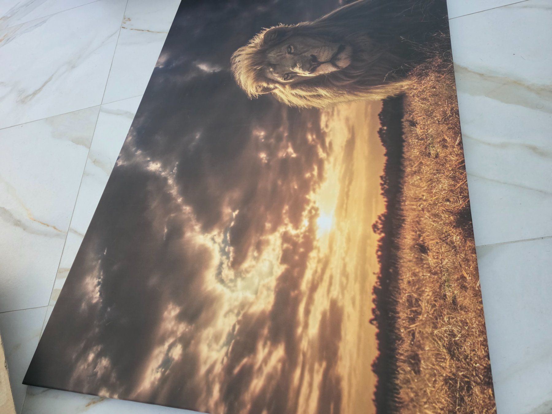 Foto & Immagini: Löwe Wandbild – Usato da Busswil BE venduto da Jj94- 2