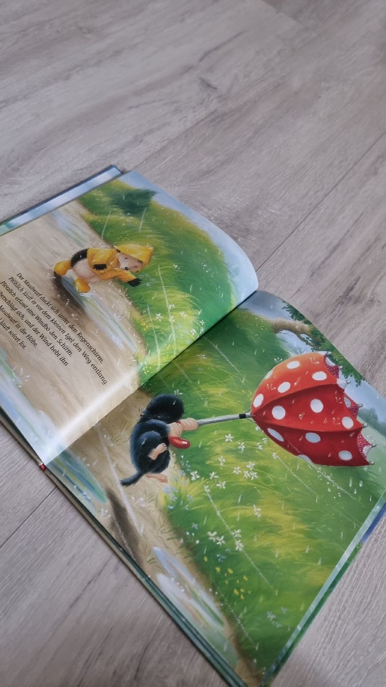 Bücher: Kinderbuch: Der kleine Igel rettet seine Freunde. – Gebraucht aus Wigoltingen von Zuckerfee84 4