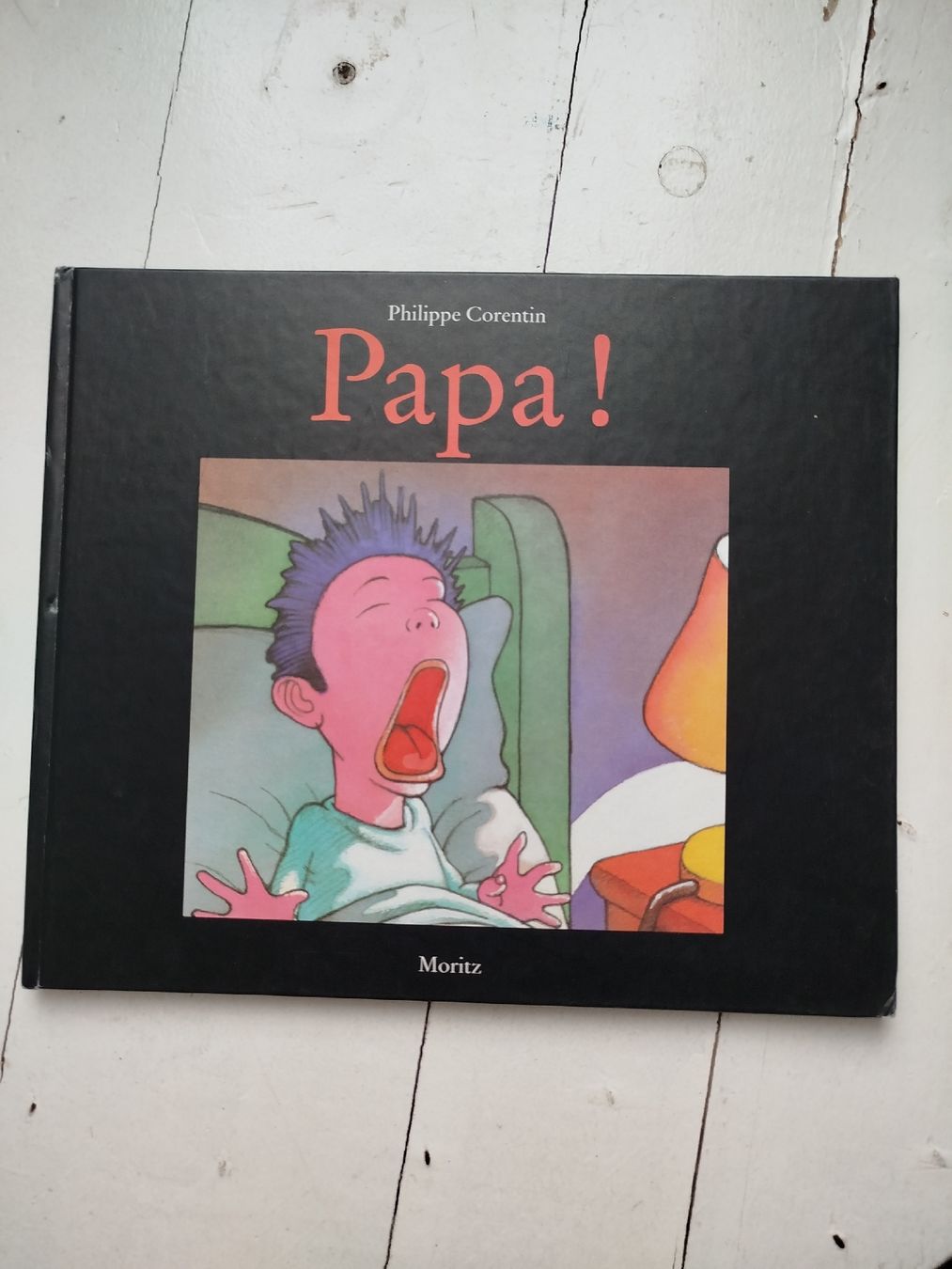 Libri: Philippe Corentin: Papa! – Usato da Fällanden venduto da san_zsm8