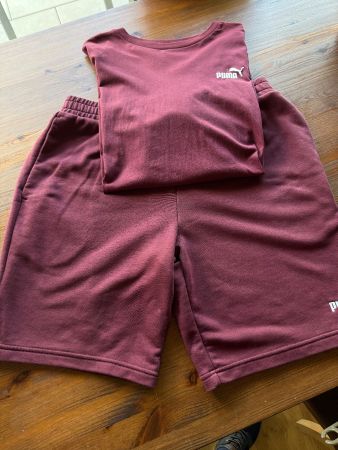 Puma-Set Sweatshirt und Shorts in Bordeaux XL